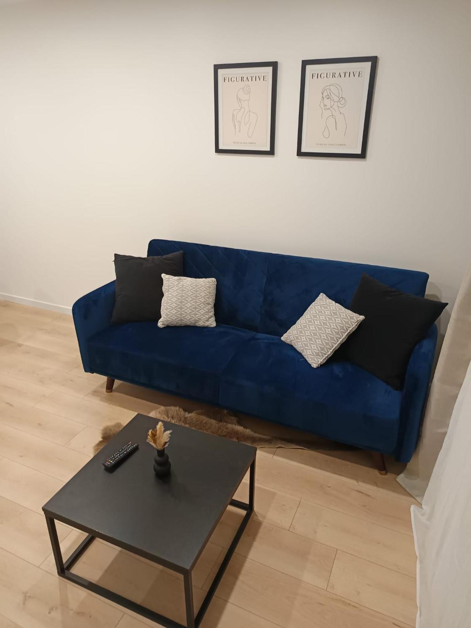 Superbe Appartement ! Saint-Etienne  Extérieur photo