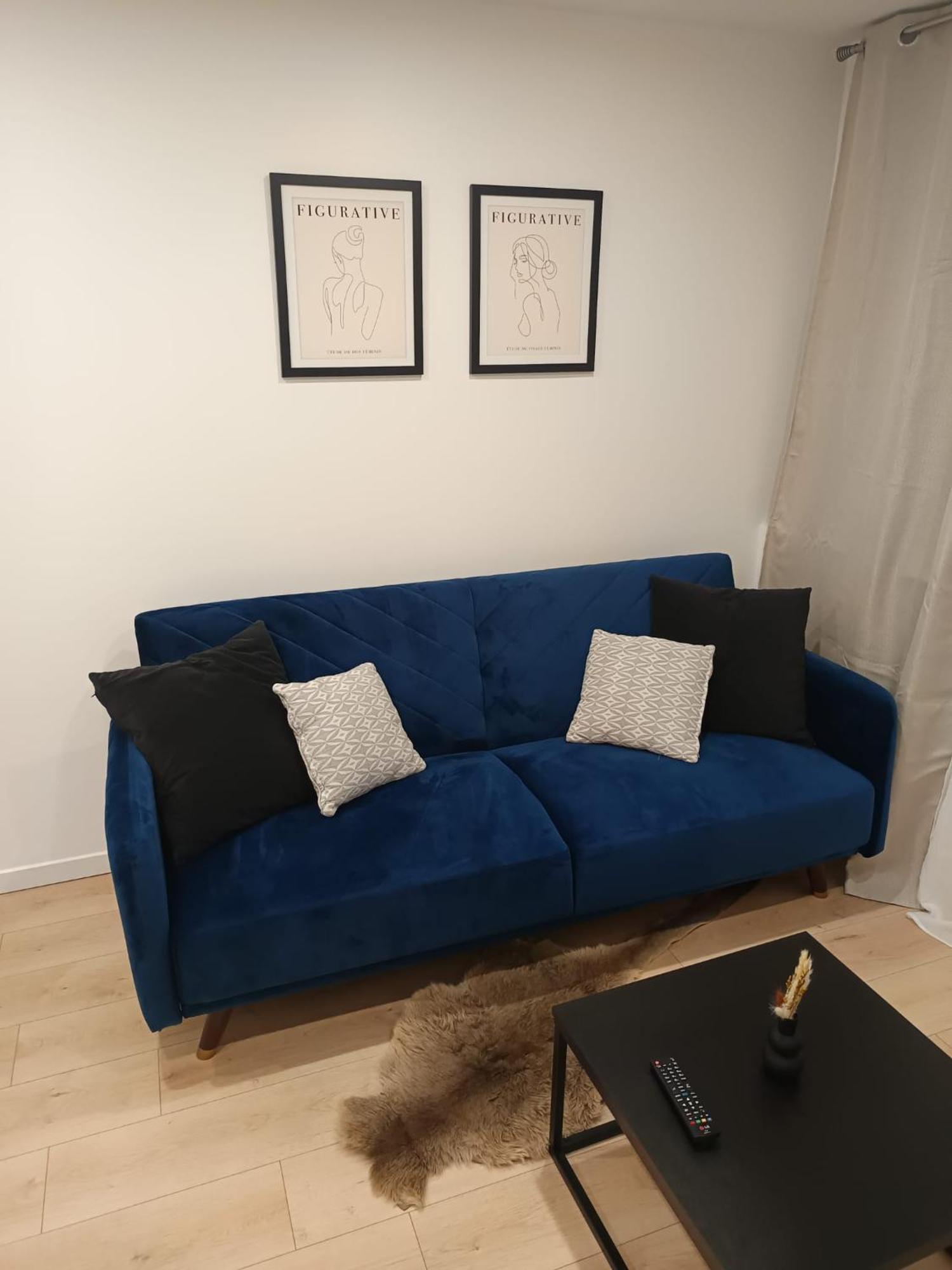Superbe Appartement ! Saint-Etienne  Extérieur photo